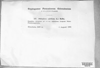 Image Associated With the Occurence